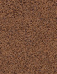 Wilsonart Laminate 5 x Western Hills