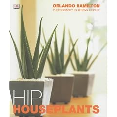 Hip Houseplants