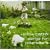 Songs for Polar Bears