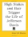Book High Stakes And Hair Trigger the Life of Jefferson Davis