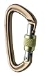 Black Diamond Positron Screwgate Carabiner