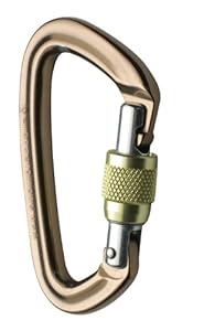 Black Diamond Positron Screwgate Carabiner Mocha One Size
