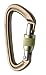 Black Diamond Positron Screwgate Carabiner (Mocha) - Standard