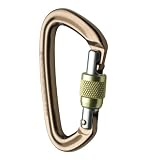 Black Diamond Positron Screwgate Carabiner