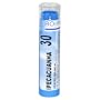 Boiron Homeopathic Medicine Ipecacuanha, 30C Pellets, 80-Count Tubes (Pack of 5)