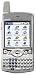 Palm Treo 600 Unlocked PDA Phone with SD/MMC--U.S. Version with Warranty (Silver)