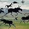 Experience Tuva