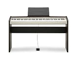 CASIO PX-120 - Privia Digital Piano - Silver And Dark Grey Tone Finish
