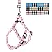 HOWS YOUR DOG Oxford Easy Step-in Nova Plaid Padded Dog Harness & Leash Set - Pink / Small (12"-16")