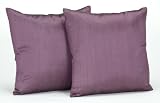 Newpoint Dupioni Silk 18-Inch-by-18-Inch Feather and Down Filled Pillows, Amethyst, 2-Pack