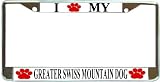I Love My Greater Swiss Mountain Paw Prints Dog Chrome Metal License Plate Frame Holder
