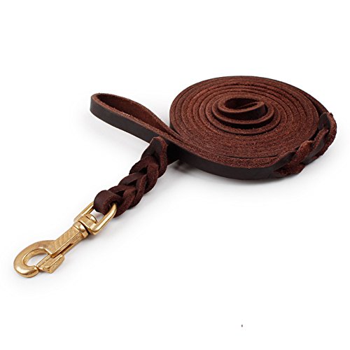 Top 5 Best nose lead for dogs for sale 2016 BOOMSbeat