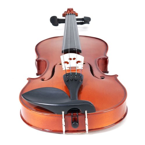 Childrens Toyshop  Musical Instruments : Cecilio CVN-100 Rosewood Full Size 4/4 Violin with Case and Accessories