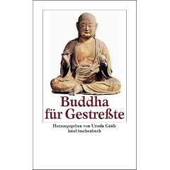 Buddha f�r Gestre�te (insel taschenbuch)