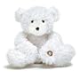 16  Glo E Bear with Five Different Light