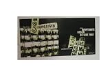  : 3 Doors Down Poster Three