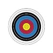 Maple Leaf Fita Official 10 Ring Targets - 17 X 17