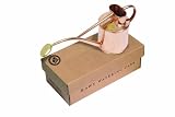 Bosmere V181 Haws Indoor 1-Liter Watering Can with Rose and Gift Box, 2-Pint, Copper