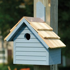 Heartwood - Cape Cod White Wash
