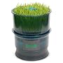 Tribest FreshLife Sprouter - Automatic Wheatgrass and Sprouter System