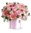 Lovely Baby Girl Bouquet