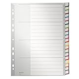 Esselte Leitz 1278-85 - Blancoregister Plastik A4 hoch 20-teilig farbig unterteilt