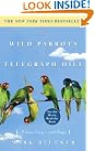 The Wild Parrots...