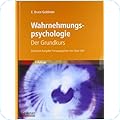 Springer VS Sozialwissenschaft