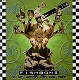 Live at the Temple Bar and More