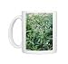 Photo Mugs of APP-4662 Lemon Verbena from Ardea Wildlife Pets