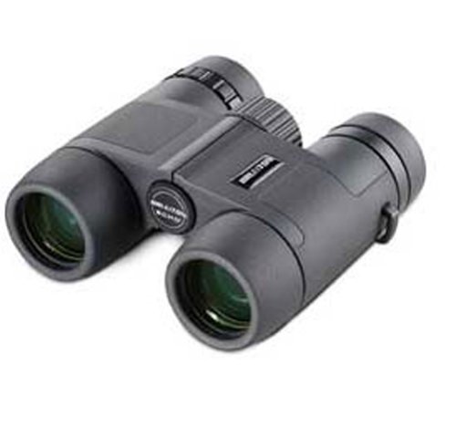Brunton Echo Mid-Size 8x32 Binocular