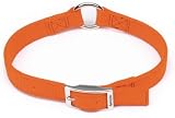 Remington&174 Double Ply Nylon Safety Collar 20 in., Dog Collars, Dogs, Home & Garden