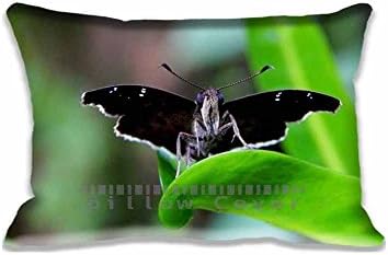 Custom Design Moth Butterfly Pillow Cases Zippered , Standard Queen Size Animals Pillowcase - 20X30inch Insects Cushion Covers Two Size Print