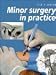 Minor Surgery in Practice