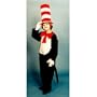Cat in the Hat Costume - Child Costume