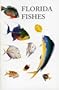 Saltwater Florida Fishes