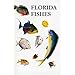 Saltwater Florida Fishes