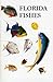 Florida Fishes by Rube Allyn