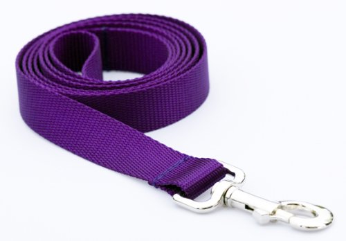 Large Purple Nylon Webbing Dog Leash: 1