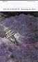 Rounding the Horn (Poetry Pleiade)