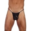Appolo Pouch Men's Stretch Mesh G-String Underwear By Gregg Homme