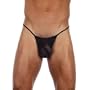 Appolo Pouch Men's Black Stretch Mesh G-String Underwear By Gregg Homme Size Large