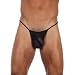 Appolo Pouch Men's Stretch Mesh G-String Underwear By Gregg Homme