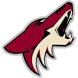 Phoenix Coyotes NHL Hockey bumper sticker decal 5" x 5"