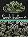 Toe Talk SEEK BALANCE Non Slip Grip Socks for Pilates Yoga Barre Tai Chi Dance Meditation & Mindful Living