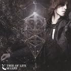 TREE OF LIFE(DVD付)(在庫あり。)