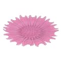 Flower Plates Set of 2 - Pink (17")