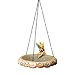 Disney Traditions by Jim Shore 4016534 Tinker Bell Garden Hanging Birdbath 11-Inch