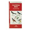 California Birds: An Introduction to Familiar Species (State Nature Guides)