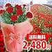 �y���������I�Q�S�W�O�~�z��̓��@�L�@�͔|�G�R�J�[�l�[�V����5�����F��